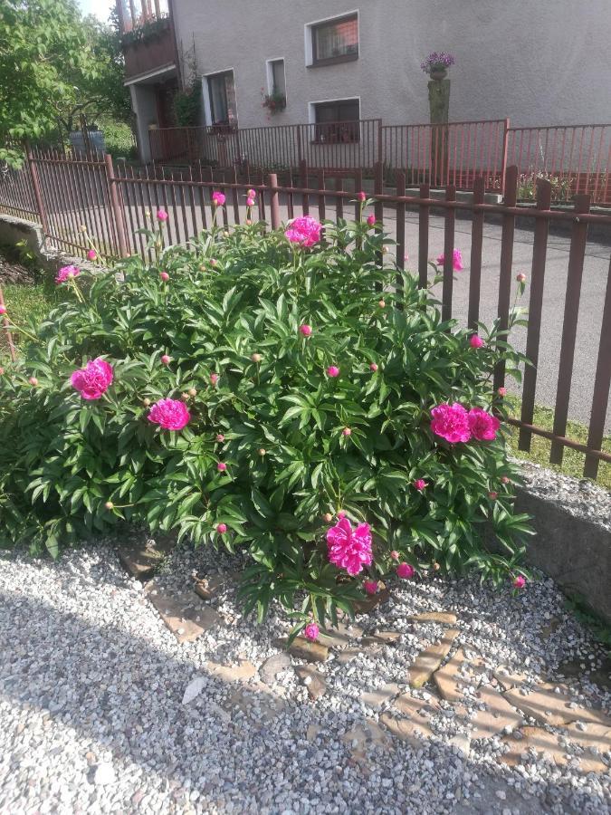 شقة Drevenica Zapadne Tatry S Kupacou Kadou A Krbom Žiar المظهر الخارجي الصورة