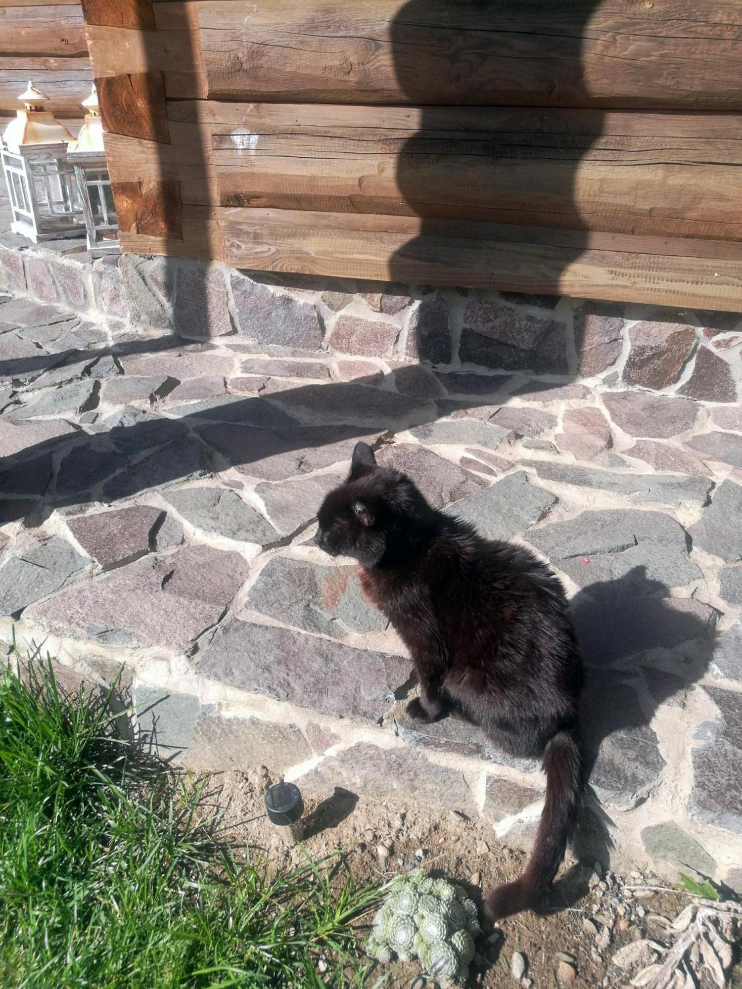 شقة Drevenica Zapadne Tatry S Kupacou Kadou A Krbom Žiar المظهر الخارجي الصورة